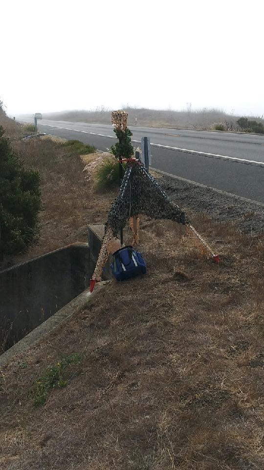 GPS unit camouflaged along the highway